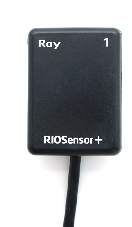 RIOsensor+ Intraoral Sensor MAIN